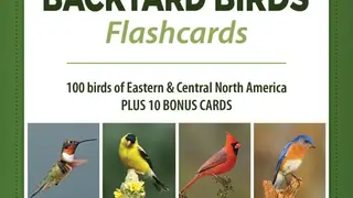 Smart Bird ID screenshot