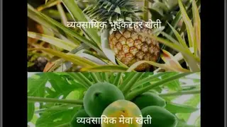 Smart Krishi screenshot