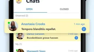 Smartsupp Live Chat screenshot