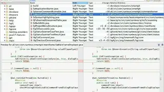 SmartSynchronize screenshot