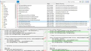 SmartSynchronize screenshot