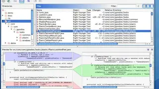 SmartSynchronize screenshot