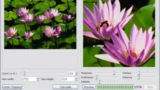 SmillaEnlarger screenshot