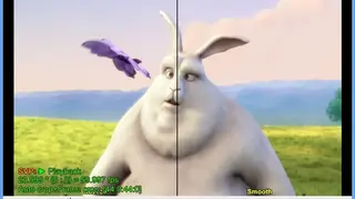SmoothVideo Project screenshot