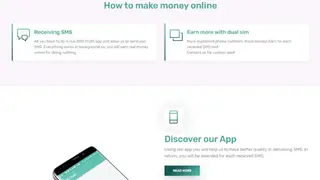 SmsProfit screenshot
