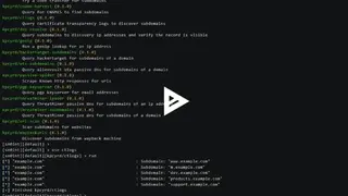 Sn0int screenshot