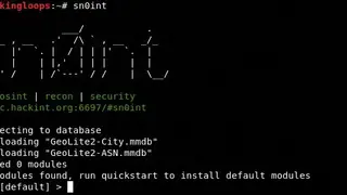 Sn0int screenshot