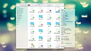SnailSVN screenshot