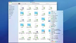 SnailSVN screenshot