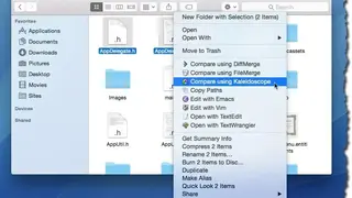 SnailSVN screenshot