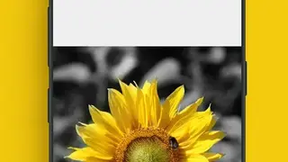 Snap Image Editor screenshot