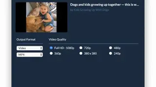 SnapDownloader screenshot