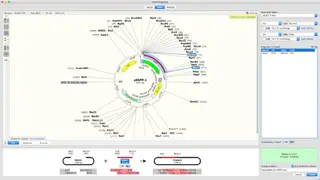 SnapGene Viewer screenshot