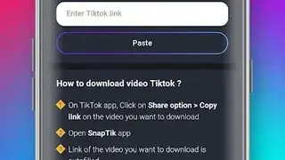 SnapTik screenshot