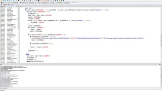 Snowman C++ Decompiler screenshot