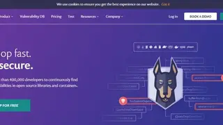 Snyk screenshot