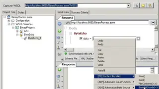 SoapSonar screenshot