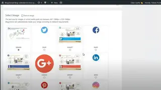 Social Media Auto Publish screenshot