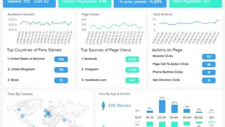 Social Report screenshot