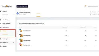 Socialinsider screenshot