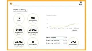 Socialinsider screenshot