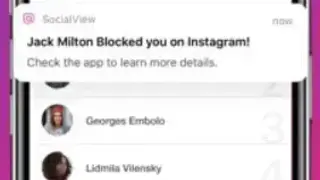 SocialView for Instagram screenshot