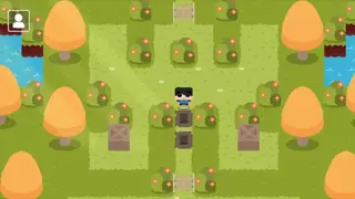 Sokoban Land DX screenshot