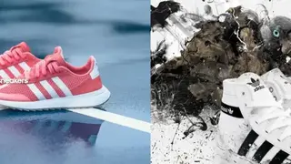 Solezilla screenshot