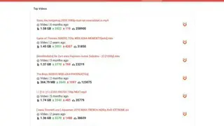 Solid Torrents screenshot