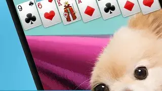 Solitaire by Brainium screenshot