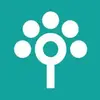 Songtree