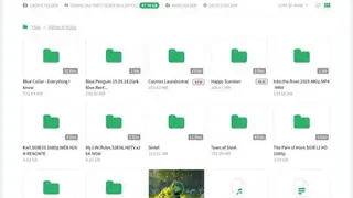 Sonic SeedBox screenshot