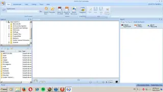 Sothink SWF Decompiler screenshot