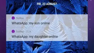 Sotline: online last seen screenshot