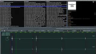 Soundminer screenshot