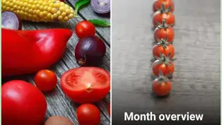 Sowing Calendar – Gardening screenshot