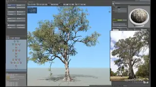 SpeedTree Cinema screenshot
