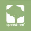 SpeedTree Cinema