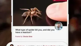 Spiders identifier App by Photo, Camera 2020 (Early Access) screenshot