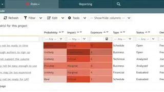 SpiraPlan screenshot