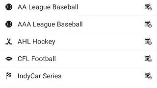 Sports Scores screenshot