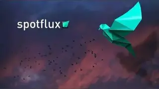 SpotFlux screenshot
