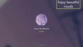 Spotify Web Visualizer screenshot