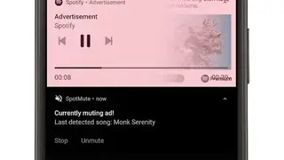 SpotMute screenshot