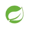 Spring Cloud Data Flow