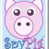 SpyPig