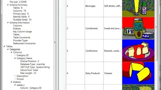 SQL Compact Query Analyzer screenshot