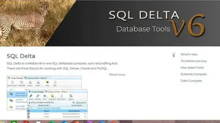 SQL Delta screenshot