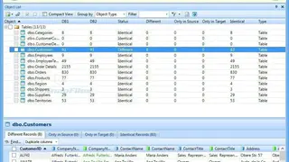 SQL Examiner screenshot