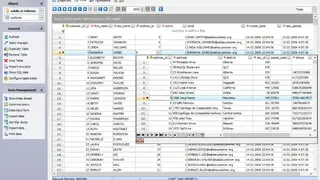 SQL Maestro for MySQL screenshot